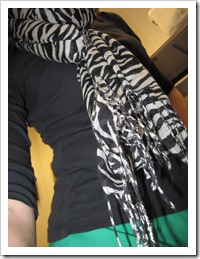 green_pants_zebra_scarf 005